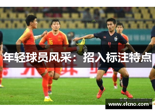 年轻球员风采：招入标注特点
